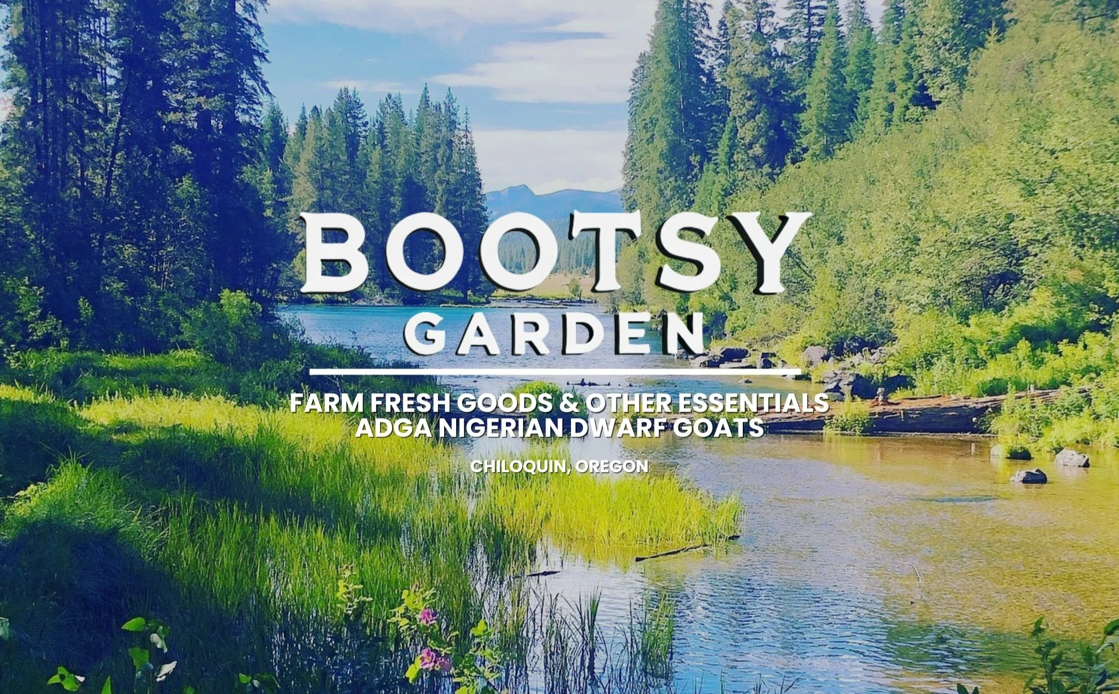 Bootsy Garden - Farm Fresh Goods - ADGA Nigerian Dwarf Goats